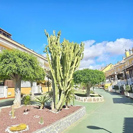 New Positive Vibes Holidays Home, Playa De Americas, Tenerife Плая-де-лас-Америкас